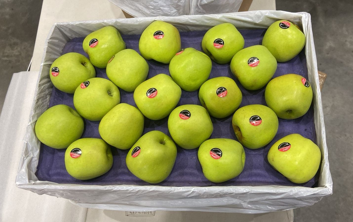 Manzana Fresca